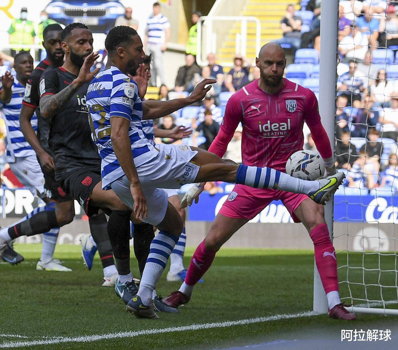 赛前多特蒙德备战欧冠；完成体检细节曝光；引发热议；球探报告显示潜力的简单介绍